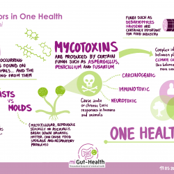miGut-Health Symposium Brings International Experts Together in Cremona to Discuss Diet, Stress and Lifestyle in IBD miGut-Health Symposium Brings International Experts Together in Cremona to Discuss Diet, Stress and Lifestyle in IBD