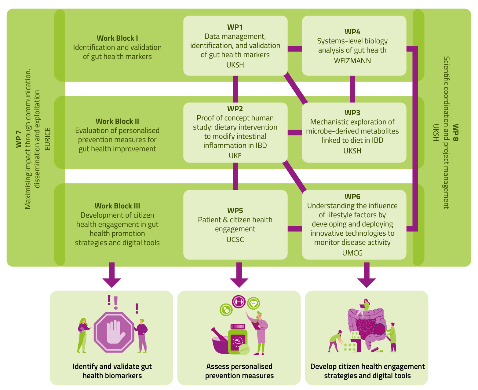 miGut-Health Project Structure